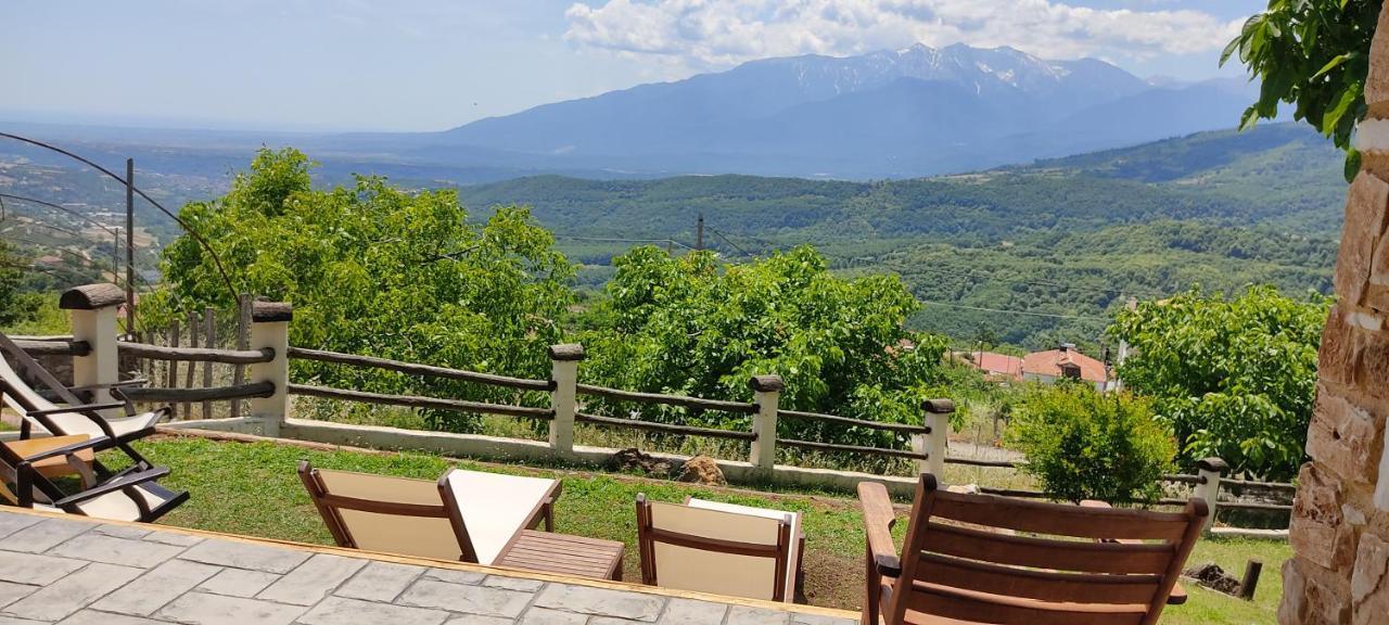 Dimitra'S Villas Elatochori Dış mekan fotoğraf
