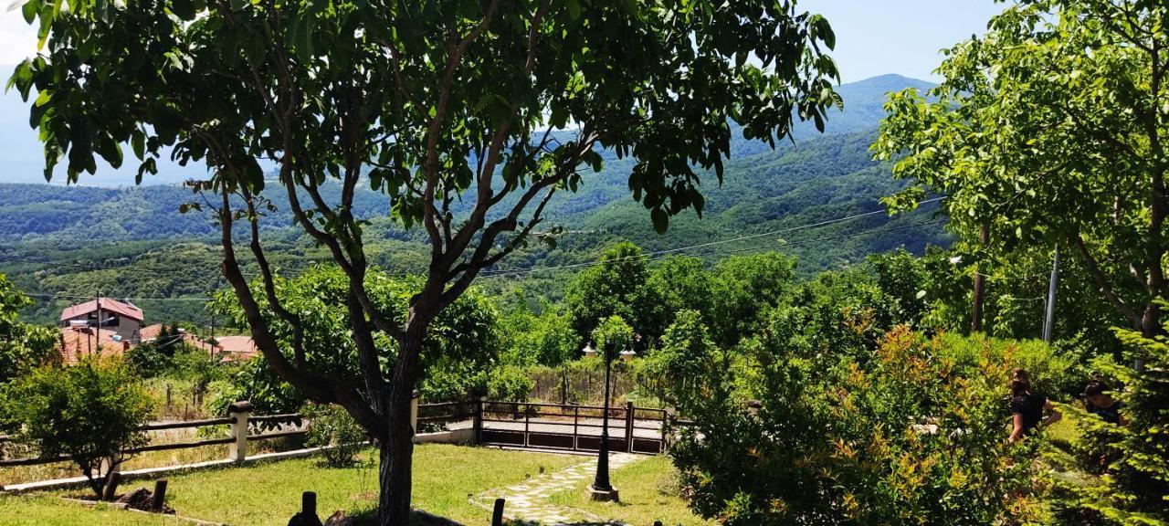 Dimitra'S Villas Elatochori Dış mekan fotoğraf