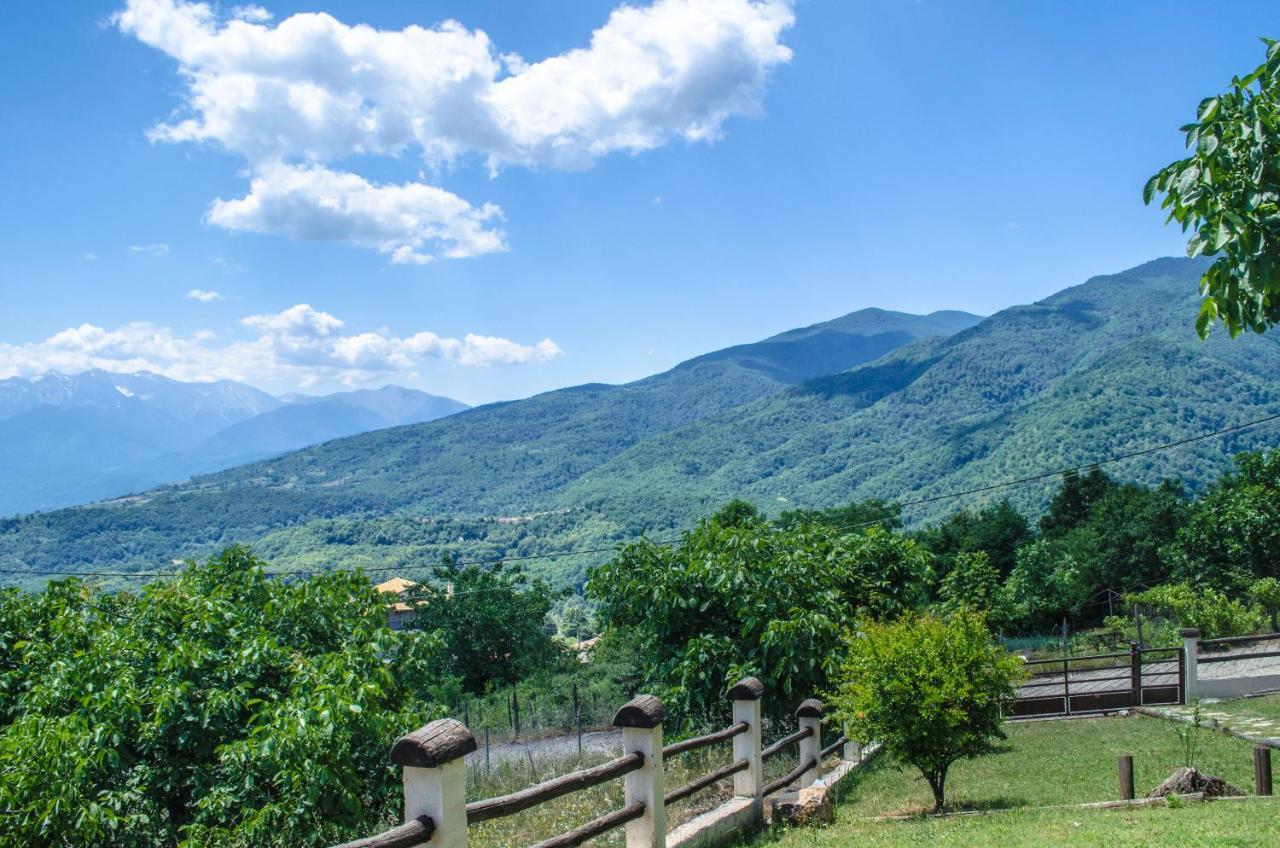 Dimitra'S Villas Elatochori Dış mekan fotoğraf