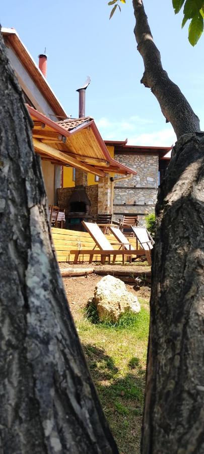 Dimitra'S Villas Elatochori Dış mekan fotoğraf