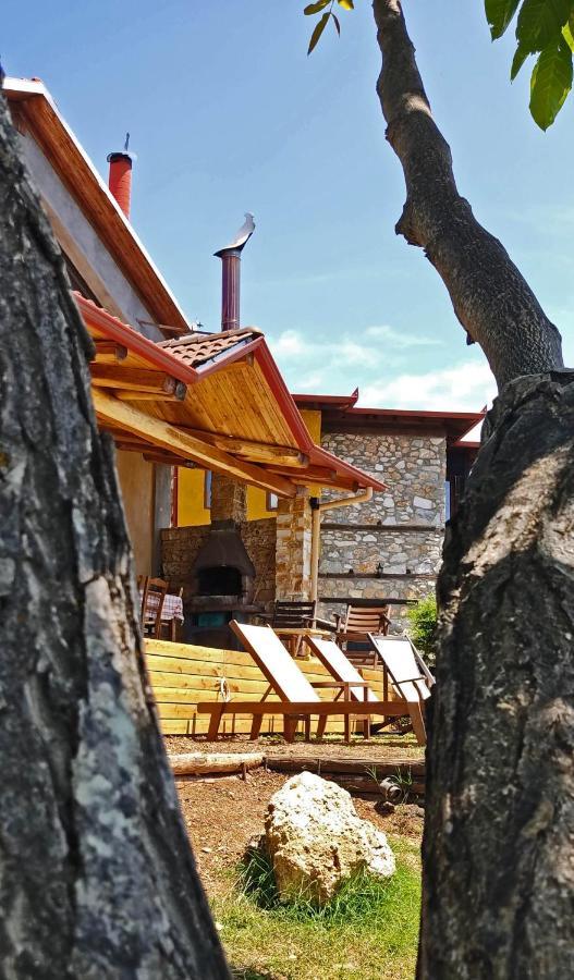 Dimitra'S Villas Elatochori Dış mekan fotoğraf