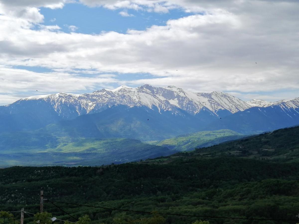 Dimitra'S Villas Elatochori Dış mekan fotoğraf