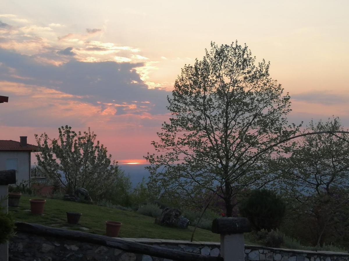 Dimitra'S Villas Elatochori Dış mekan fotoğraf