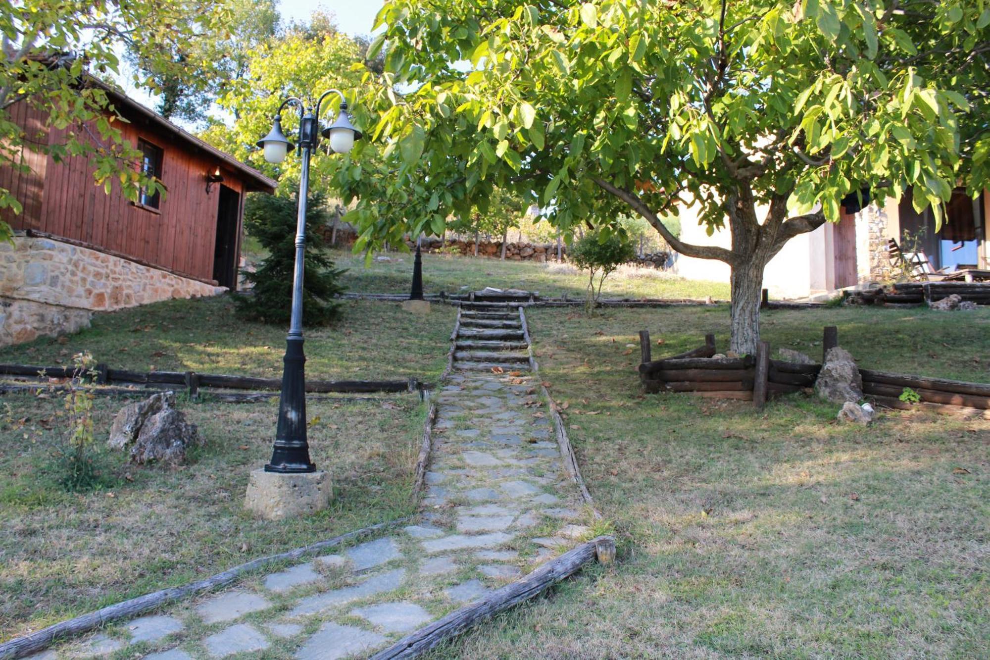 Dimitra'S Villas Elatochori Dış mekan fotoğraf