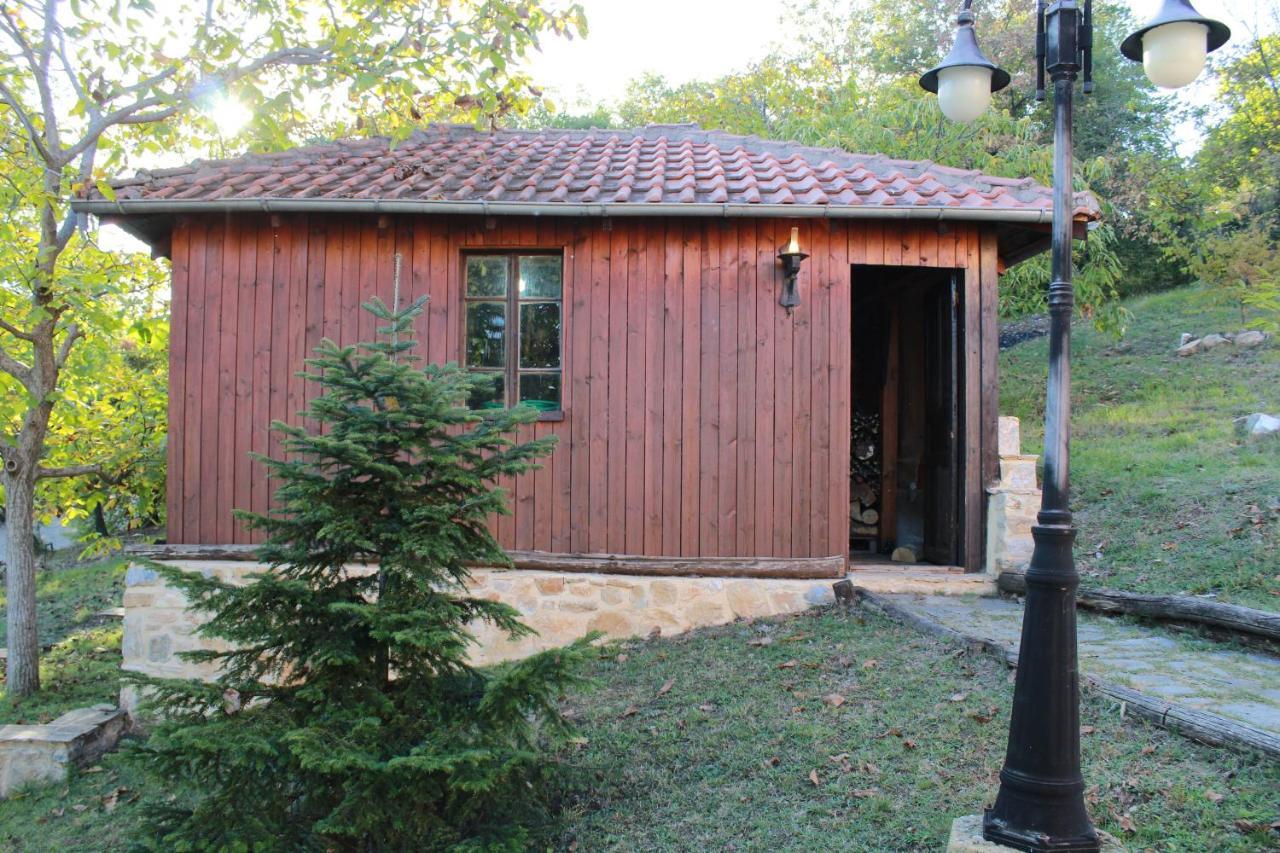 Dimitra'S Villas Elatochori Dış mekan fotoğraf